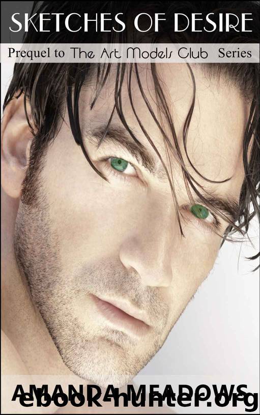 Sketches of Desire: Prequel to the Art Models Club Series by Amanda Meadows