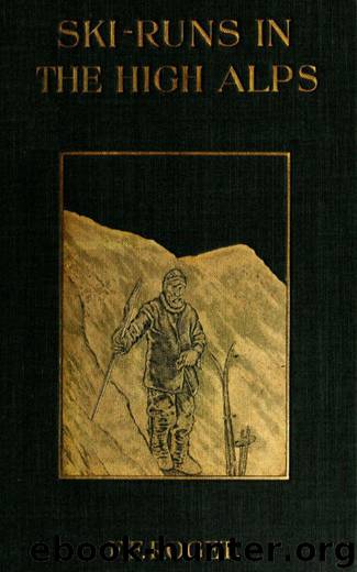 Ski-runs in the High Alps by F. F. Roget