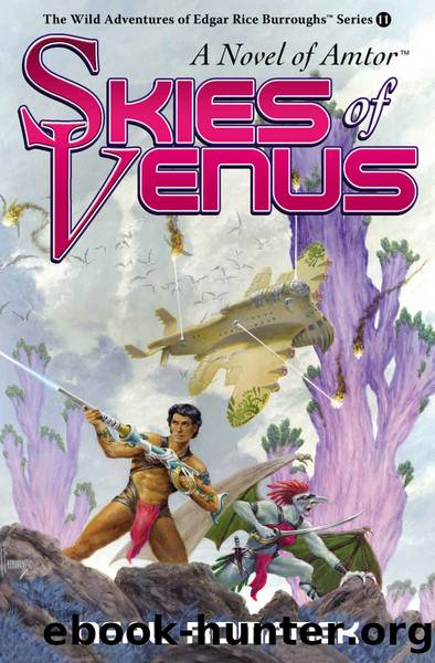 Skies of Venus by Neal Romanek