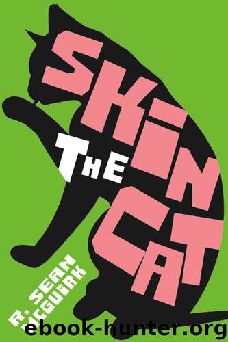 Skin the Cat by R Sean McGuirk