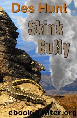 Skink Gully by Des Hunt