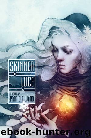 Skinner Luce by Patricia Ward