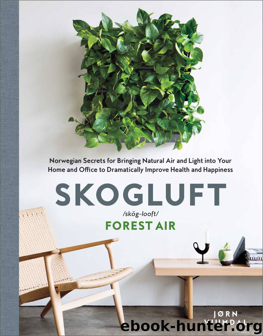 Skogluft by Jorn Viumdal