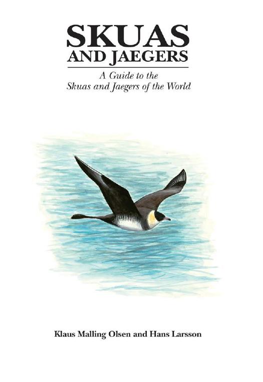 Skuas and Jaegers: A Guide to the Skuas and Jaegers of the World by Klaus Malling Olsen