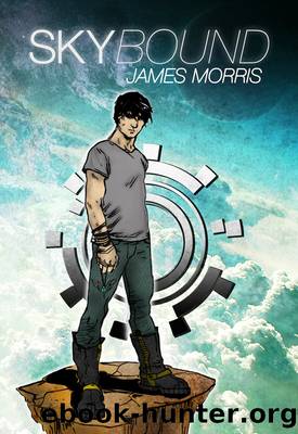 Sky Bound by James Morris