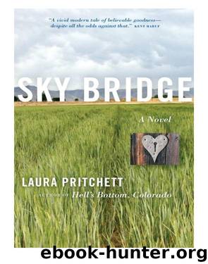 Sky Bridge by Laura Pritchett