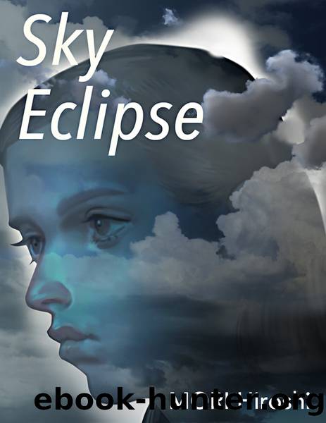 Sky Eclipse by MORI Hiroshi
