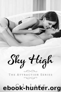 Sky High by C.J. Lake
