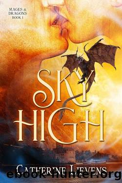 Sky High by Catherine Lievens