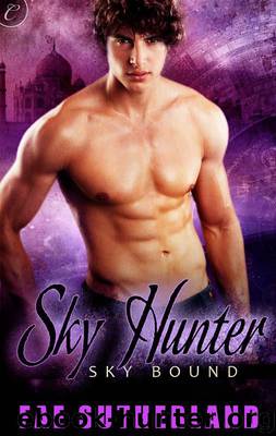 Sky Hunter (Skybound) by Sutherland Fae