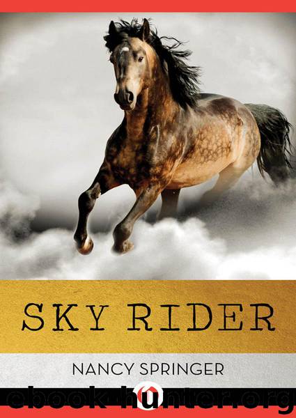 Sky Rider by Springer Nancy