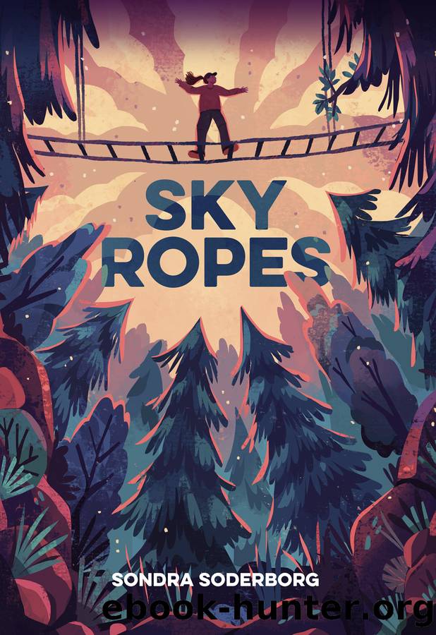 Sky Ropes by Sondra Soderborg