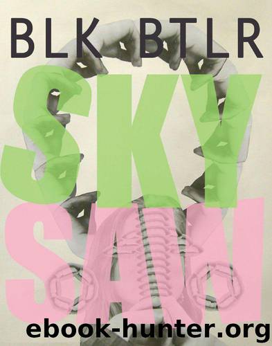 Sky Saw by Butler Blake