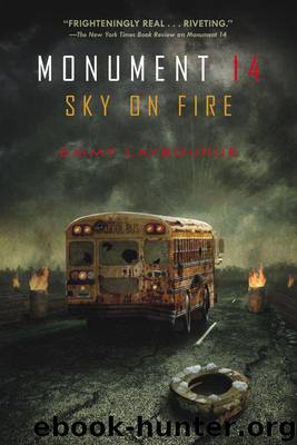 Sky on Fire by Emmy Laybourne