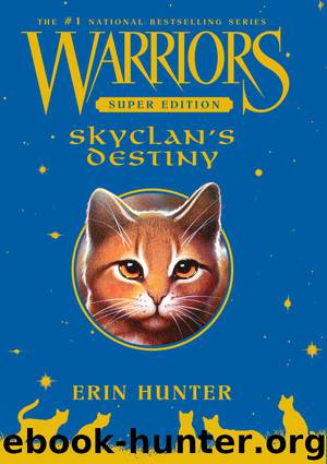 Skyclan's Destiny by Erin Hunter