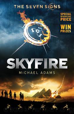Skyfire by Michael Adams