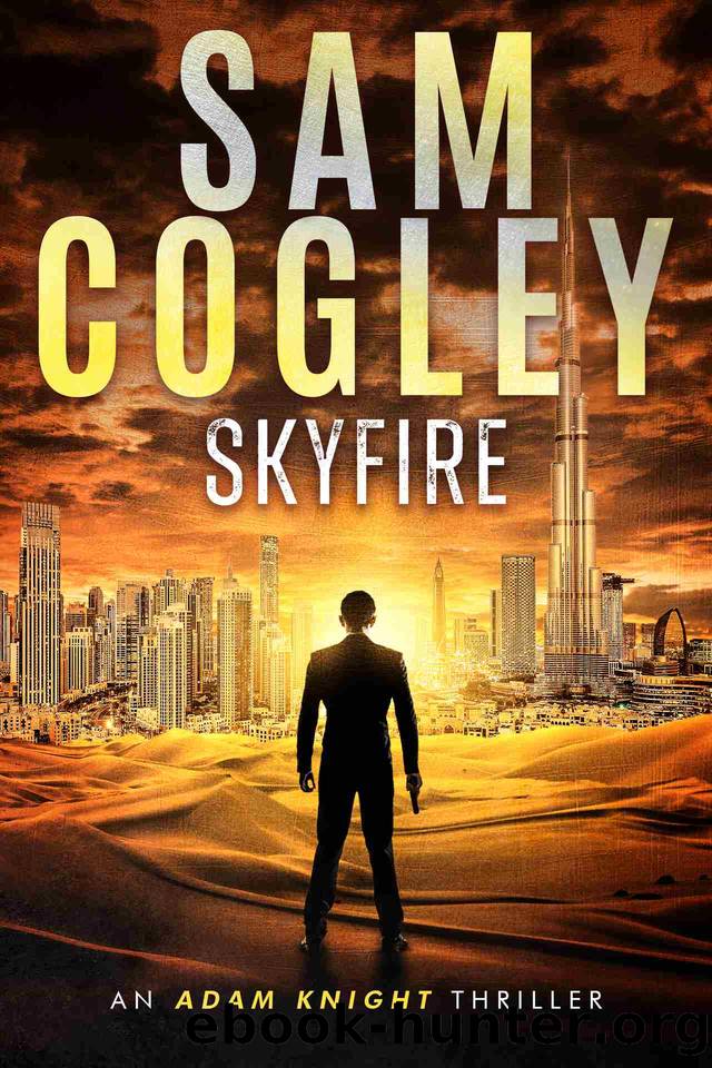 Skyfire by Sam Cogley