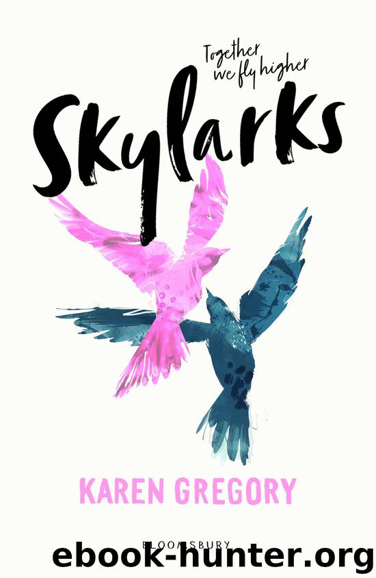 Skylarks by Karen Gregory