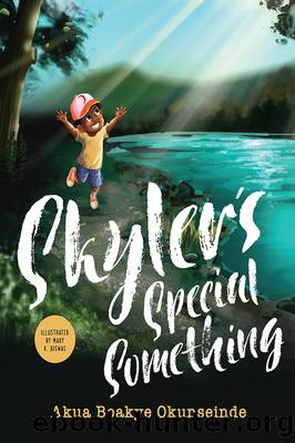 Skyler's Special Something by Akua Boakye Okunseinde