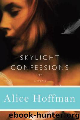 Skylight Confessions by Alice Hoffman