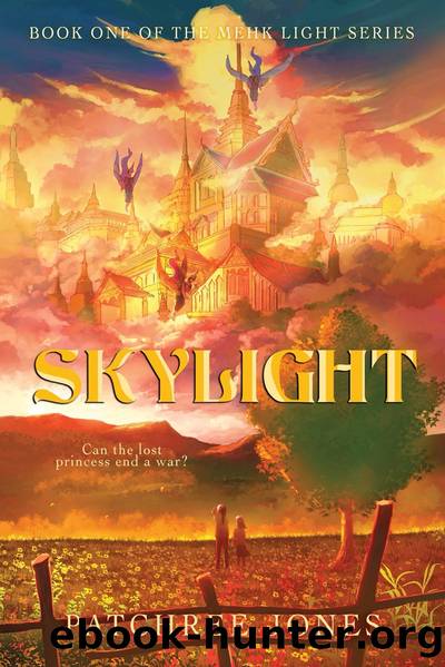 Skylight by Patchree Jones