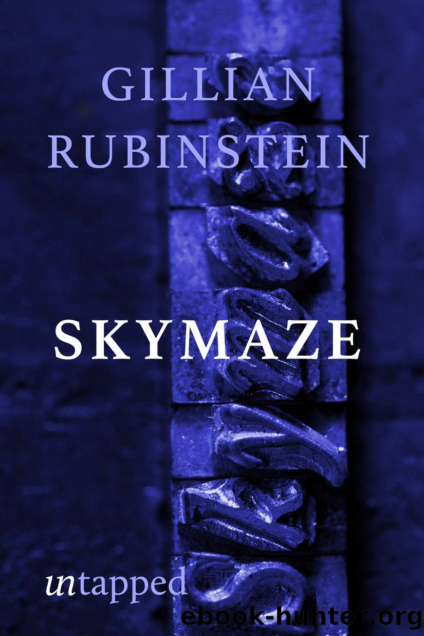 Skymaze by Gillian Rubinstein