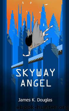 Skyway Angel by James K Douglas
