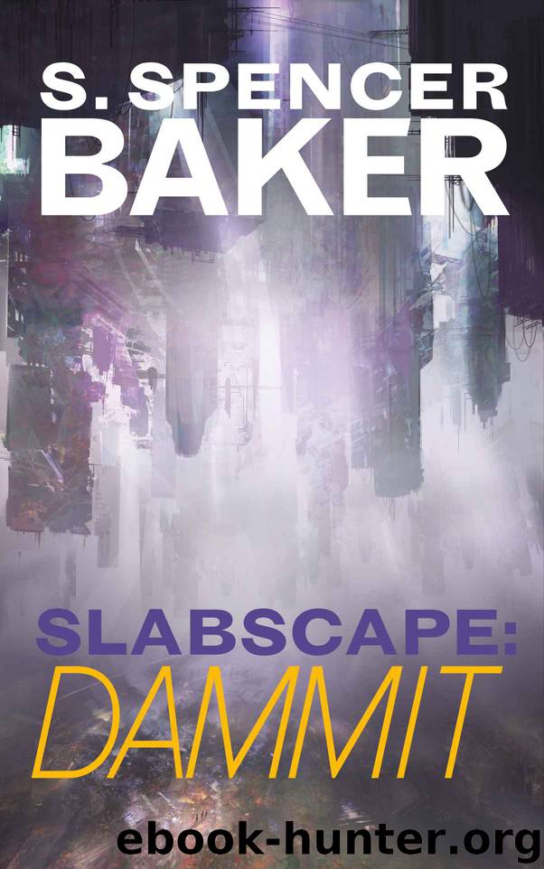 Slabscape: Dammit by S. Spencer Baker