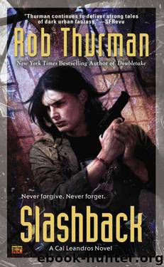 Slashback: A Cal Leandros Novel (CAL AND NIKO) by Rob Thurman