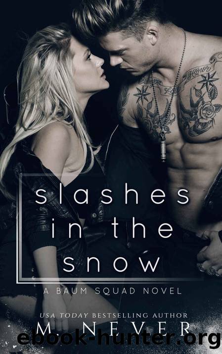 Slashes in the Snow by M. Never
