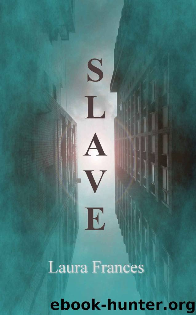 Slave (Book One) by Laura Frances