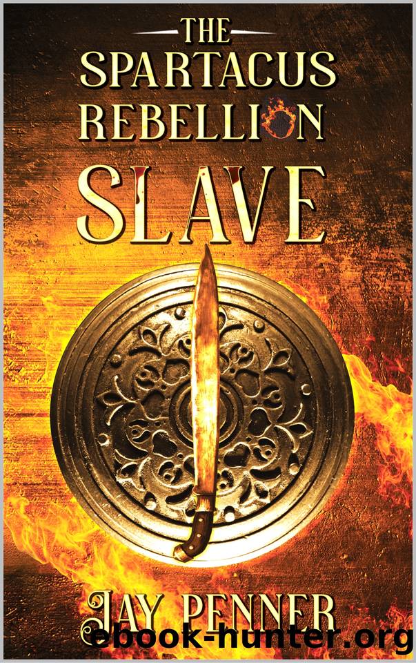 Slave - The Spartacus Rebellion Book II by Penner Jay
