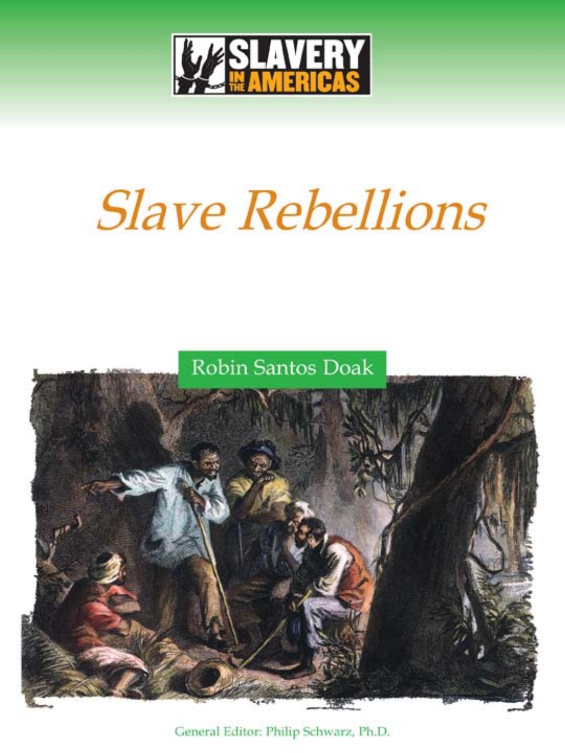 Slave Rebellions (Slavery in the Americas) by Robin S. Doak