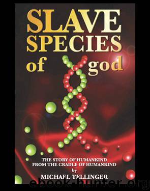 Slave Species of god by Michael Tellinger