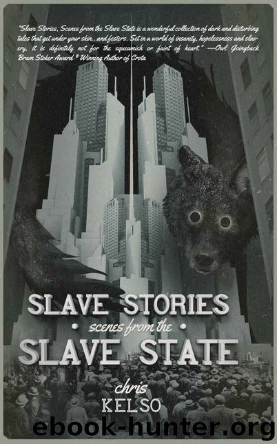Slave Stories by unknow