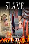 Slave by L.B