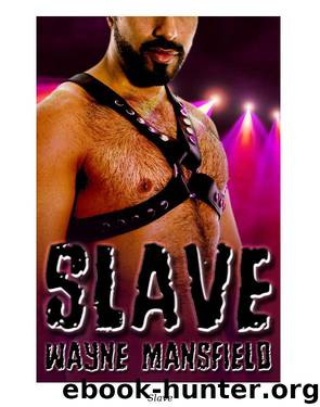 Slave by Wayne Mansfield