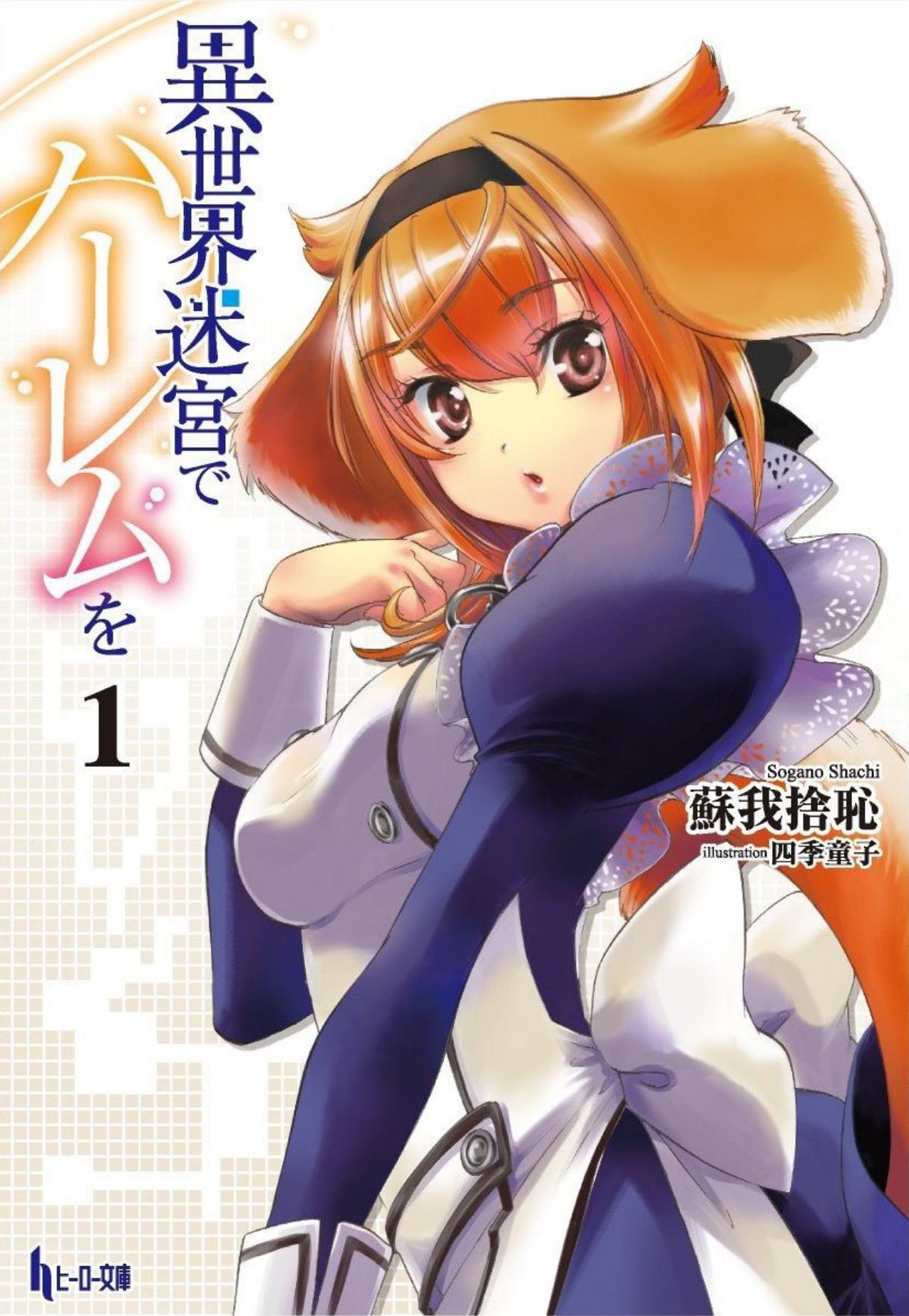 Slave harem in the labyrinth of the other world - Book 1 (Web Novel 1-28) by Shachi Sogano