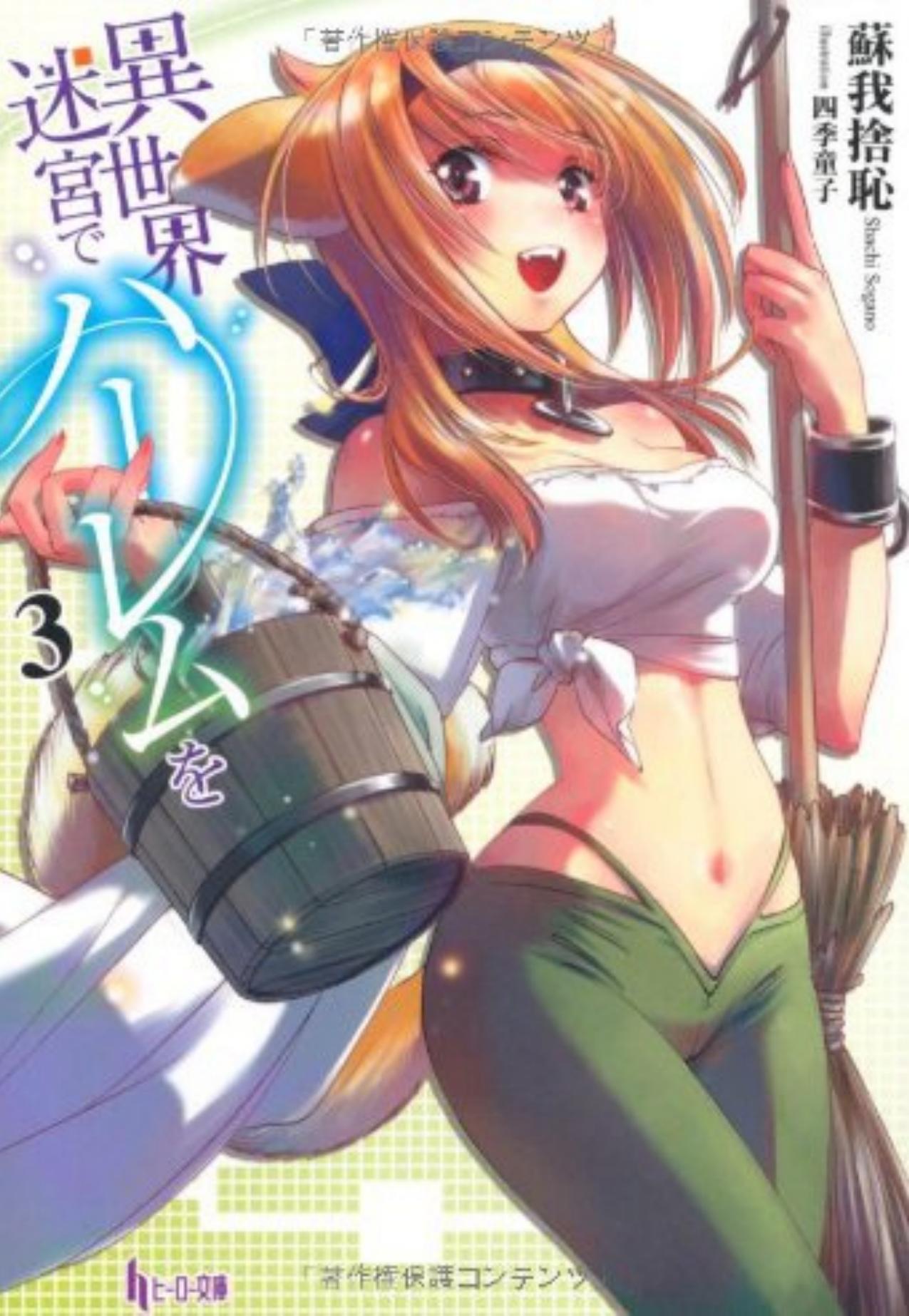 Slave harem in the labyrinth of the other world - Book 3 (Web Novel 57-84) by Shachi Sogano