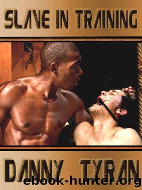 Slave in Training by Danny Tyran