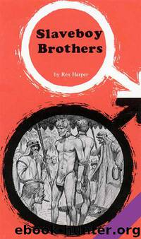 Slaveboy Brothers by Rex Harper
