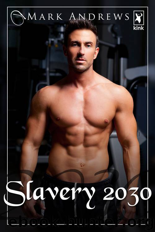 Slavery 2030 by Mark Andrews