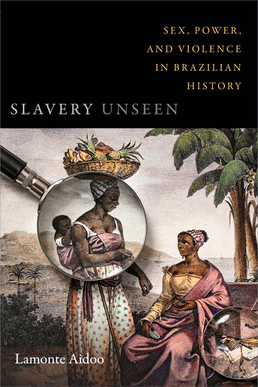 Slavery unseen: sex, power, and violence in Brazilian history by Aidoo Lamonte