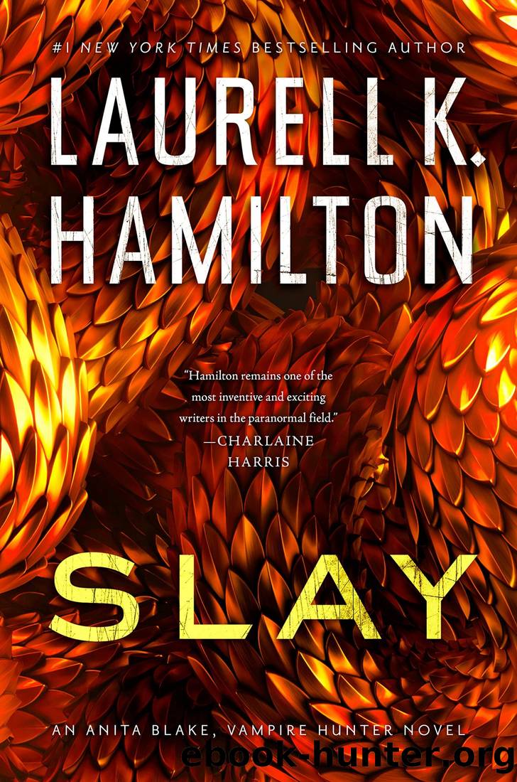 Slay by Hamilton Laurell K