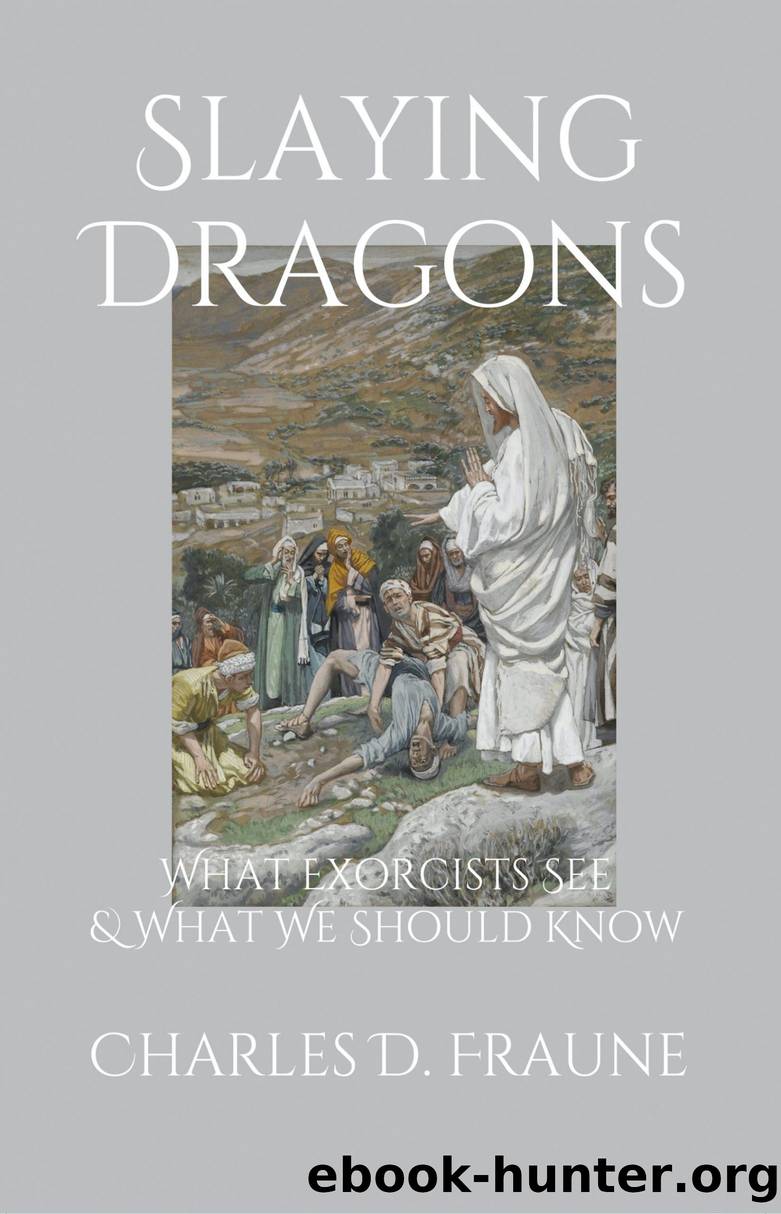 Slaying Dragons by Charles D Fraune