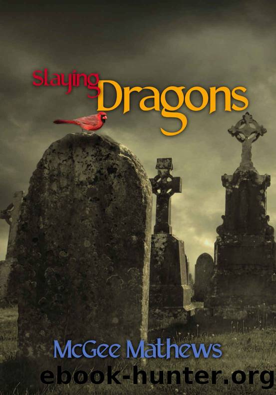Slaying Dragons by McGee Mathews