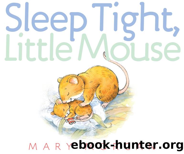 Sleep Tight, Little Mouse by Mary Morgan