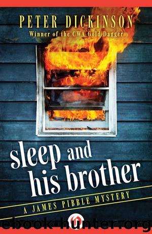 Sleep and His Brother by Peter Dickinson