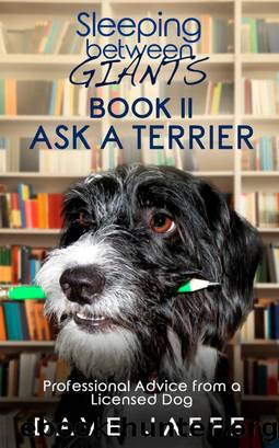 Sleeping between Giants Book 2, Ask a Terrier by Dave Jaffe