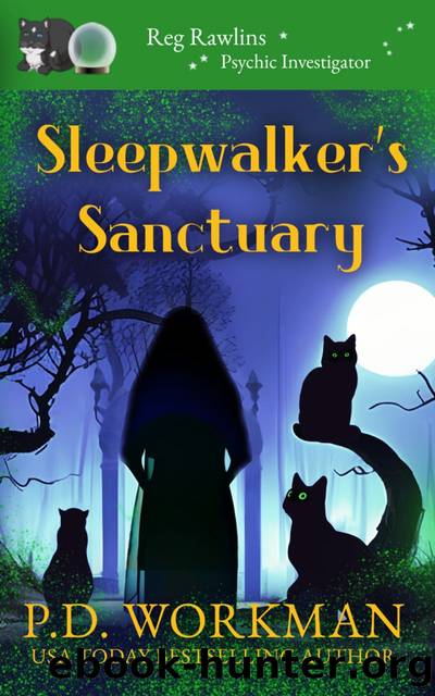 Sleepwalker's Sanctuary by P.D. Workman